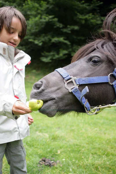 Petit garçon nourrir un cheval — Photo