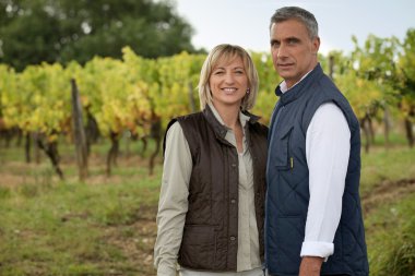 Couple in a vineyard clipart