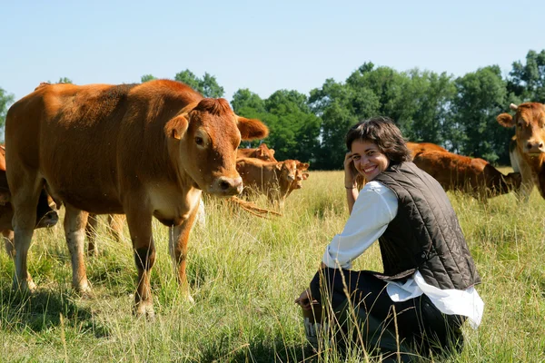 Farmer kneeling by cows in field — Stock Photo, Image