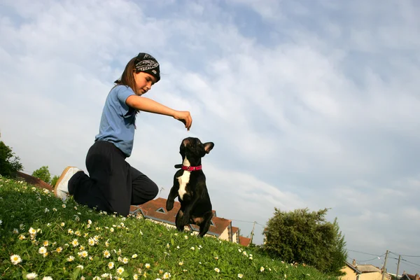 Kleines Mädchen im Park mit ihrem Hund — Stockfoto