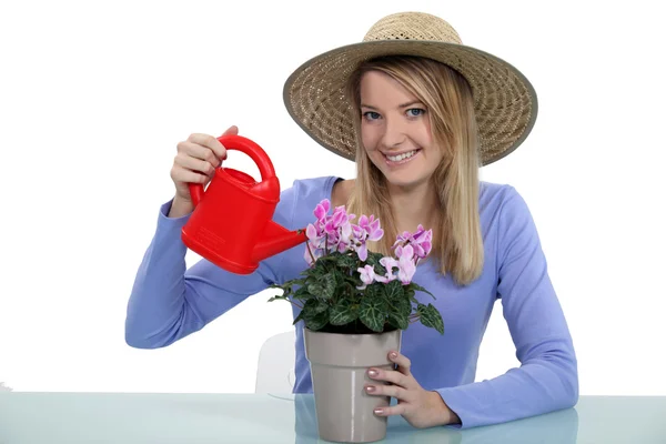 Jeune femme arrosant une plante en pot — Photo