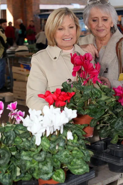 Зрелые дамы на открытом рынке выбирают растения — стоковое фото