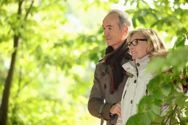 Älteres Paar geht im Wald spazieren — Stockfoto