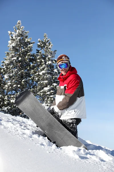 Snowboarder luchando para arrastrar su tabla hasta la montaña —  Fotos de Stock