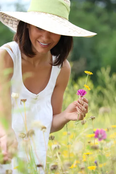 女性は、野生の花を摘み — ストック写真