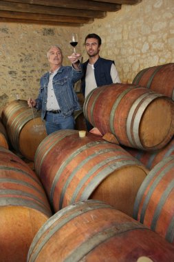 Two men tasting wine in cellar clipart