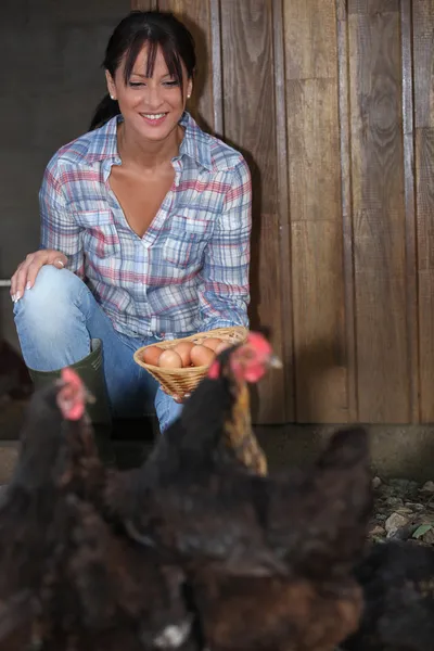 Kadın taze tavuk yumurta toplama — Stok fotoğraf