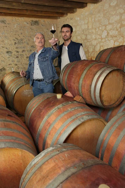Двоє чоловіків дегустують вино в підвалі — стокове фото