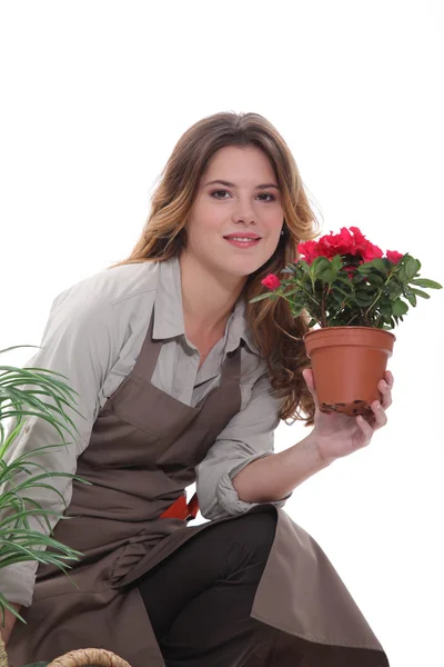Frau kümmert sich um die Pflanzen — Stockfoto