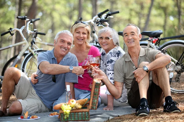Two older couples enjoying a picnic in the woods — Stock Photo, Image