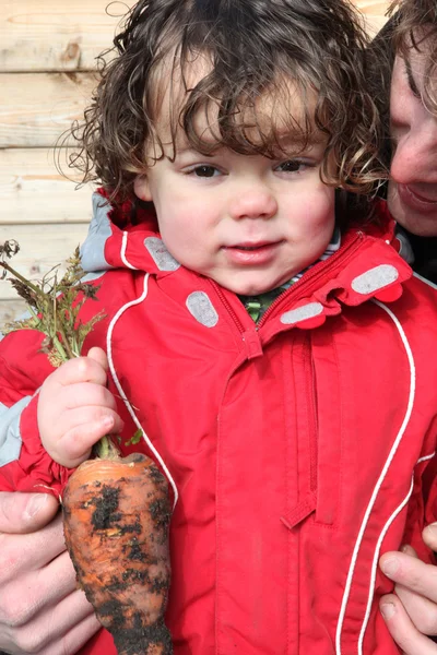 Little boy holding organic carrot — Stock Photo, Image