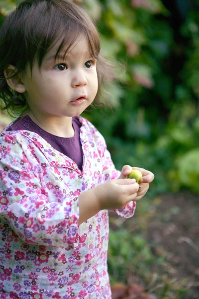 Küçük bebek bahçede keşfetmek — Stok fotoğraf