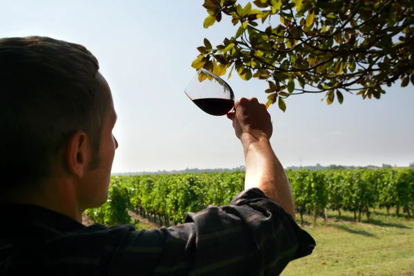 Mann beobachtet die Farbe eines Rotweins eines Rotweins — Stockfoto