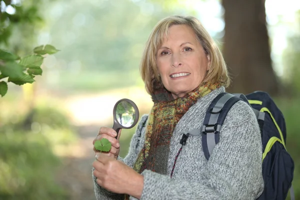 虫眼鏡で葉を調べることの女性 — ストック写真