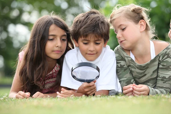 Crianças olhando para insetos — Fotografia de Stock