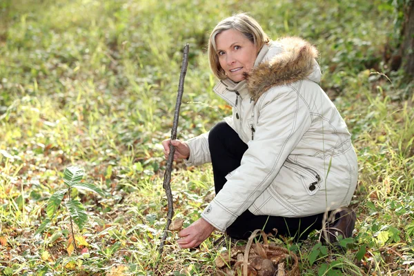 Mujer cazando setas silvestres — Foto de Stock