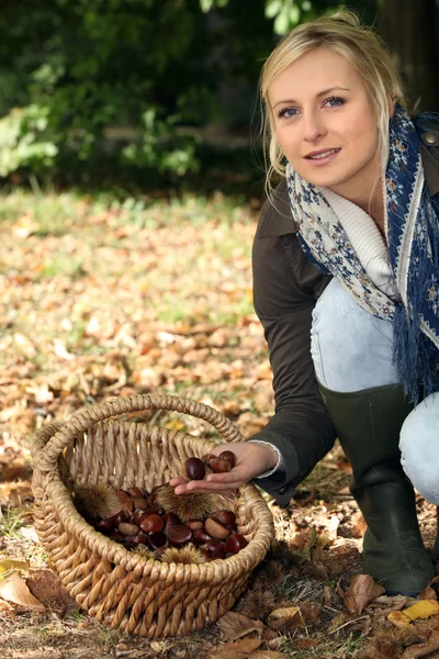 Junge blonde Frau sammelt Kastanien — Stockfoto