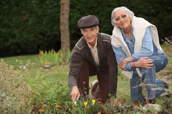 A mature couple gardening — Stock Photo, Image