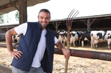 Farmer with a hayfork in front of cowshed clipart