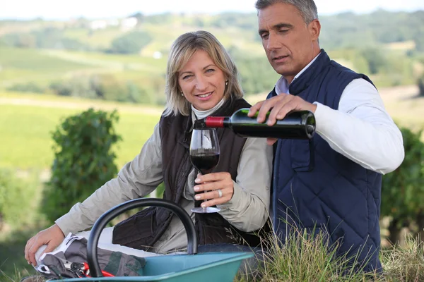 Paar drinken wijn in wijngaard — Stockfoto