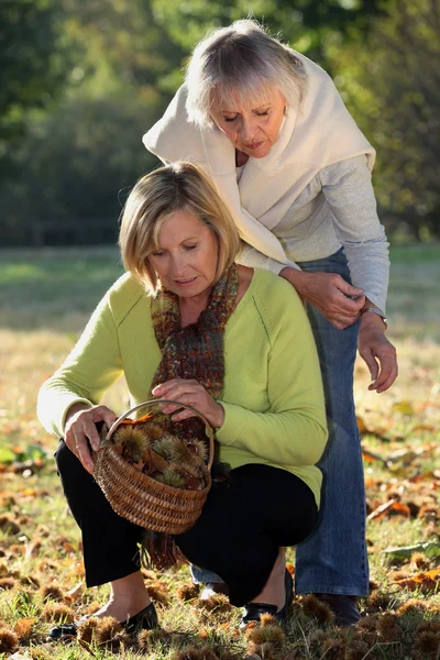 Madre e hija recogiendo castañas en el jardín — Foto de Stock