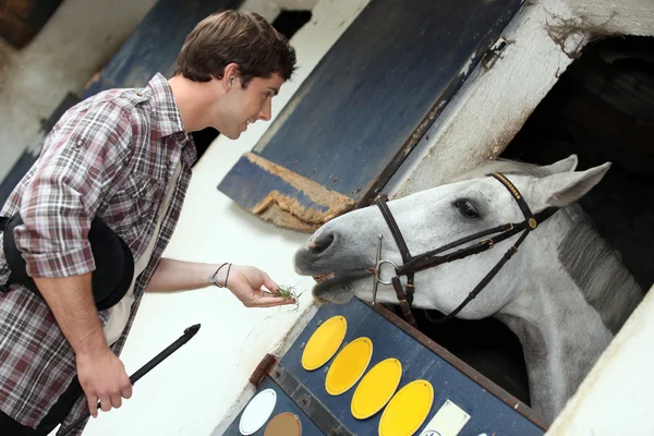 Man feeding a horse — Stock Photo, Image