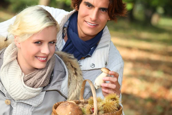 Couple collecting chestnuts — Stock Photo, Image