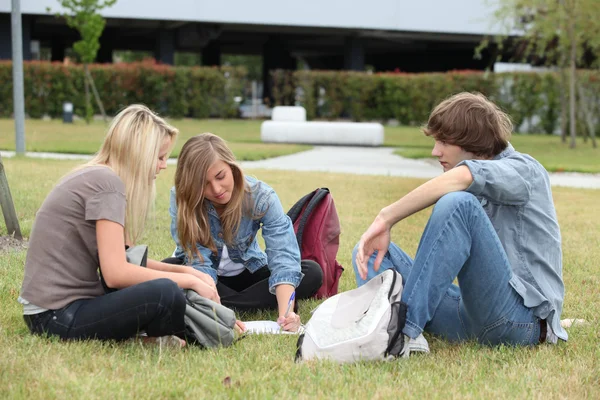 Три студента учатся на траве — стоковое фото