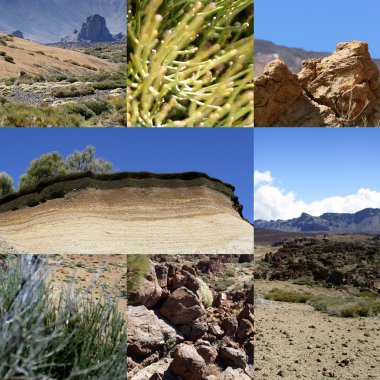 Desert landscape clipart