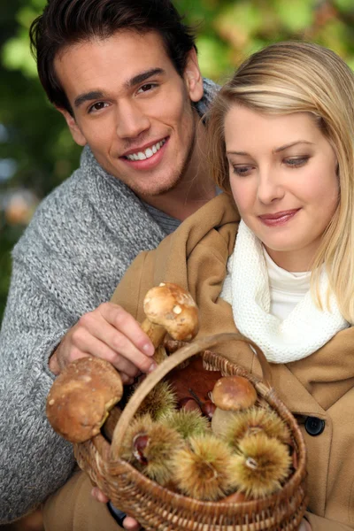 Couple gathering mushrooms — Stock Photo, Image