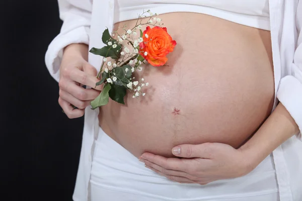 Kobieta w ciąży trzyma różę. — Zdjęcie stockowe