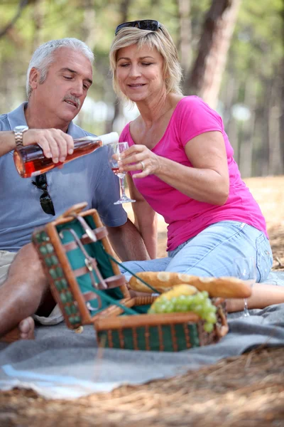 Senior koppel een picknick met — Stockfoto
