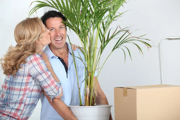 Couple emménageant avec la plante — Photo