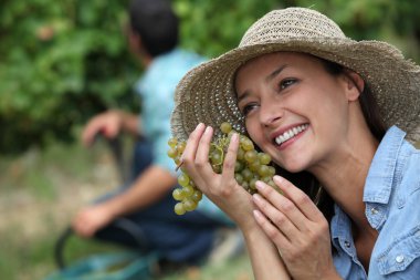 Woman during a grape harvest clipart