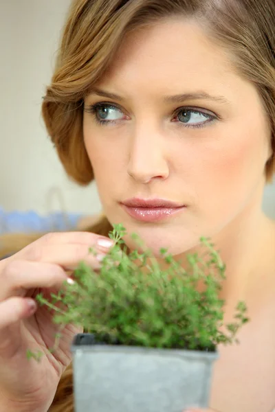 Young woman picking herbs from a pot — Stock Photo, Image