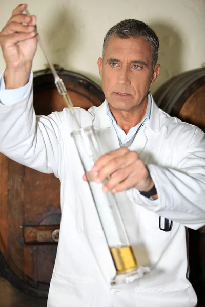 Homem testando vinho — Fotografia de Stock