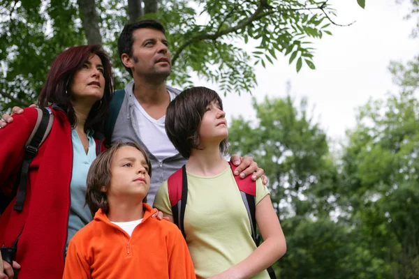 Una familia en el bosque mirando hacia arriba —  Fotos de Stock