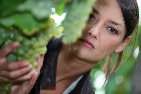 Close-up van vrouw in een wijngaard — Stockfoto