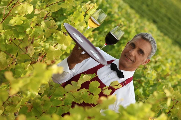 Cameriere che serve bicchieri di vino in un vigneto — Foto Stock