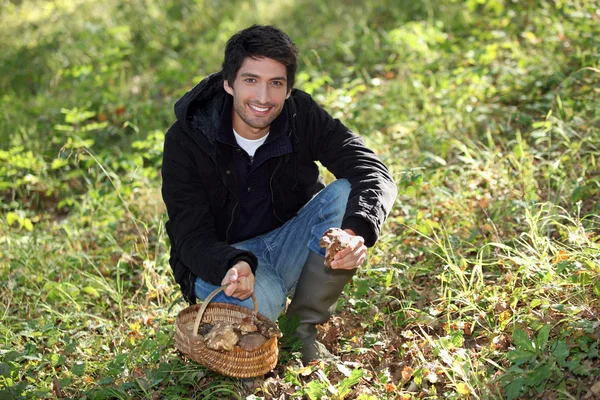 Junger Mann sammelt wilde Pilze — Stockfoto