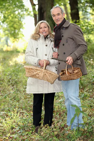 Ehepaar sammelt wilde Pilze — Stockfoto