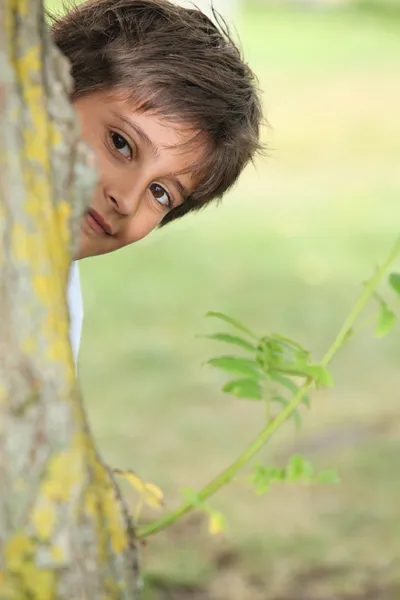 Jeune garçon jouant jeter un coup d'oeil à un boo autour d'un arbre — Photo