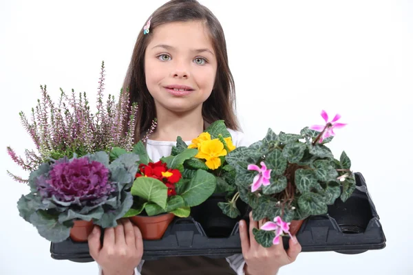 Little girl holding a bunch of flowers. — Stock Photo, Image