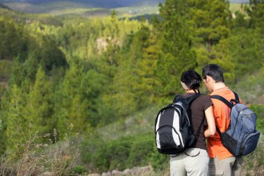 A couple hiking in the mountains clipart