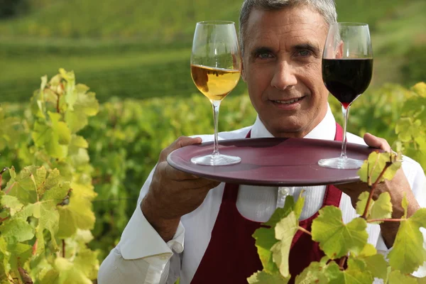 Sommelier com um copo de cada um dos vinhos tintos e brancos em uma vinha — Fotografia de Stock