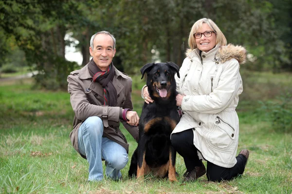 Senior koppel poseren met hun hond in een park — Stockfoto