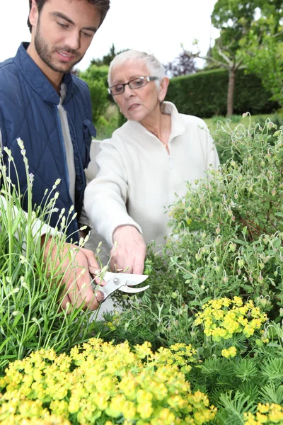 Jardinería de hombres jóvenes con mujeres mayores — Foto de Stock