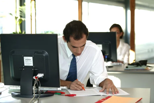 Trabalhador de escritório revendo um arquivo — Fotografia de Stock