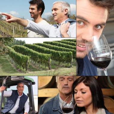 Collage of winemakers, wine and vineyards clipart