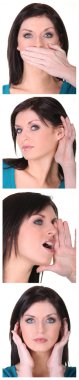 Passport photos clipart